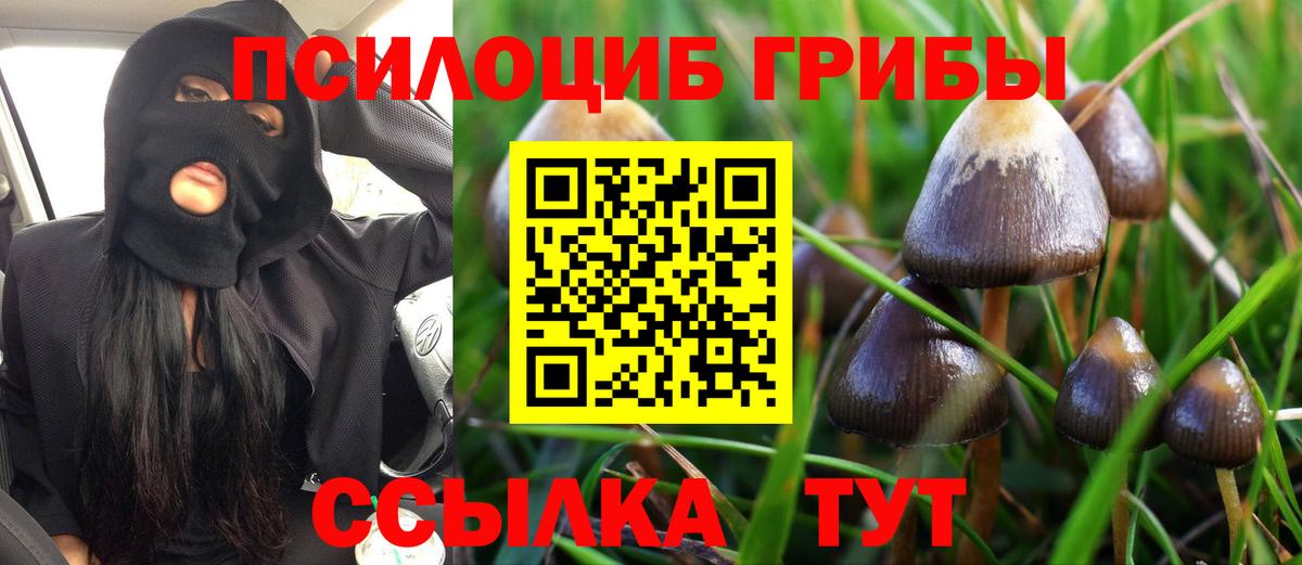 Галлюциногенные грибы Psilocybe  Вход с VPN  Кохма 