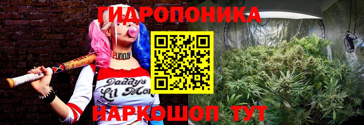 Каннабис LSD WEED  Шишки марихуана ГИДРОПОН  Кохма  Вход с VPN  Бошки Шишки VHQ 